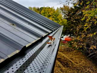 View of Black leaf guards on a pole shed designed to help keep the gutters clean
