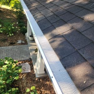 Leaf Blaster Pro by Gutter Glove